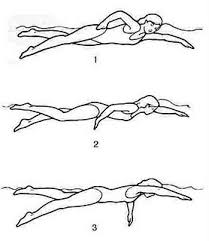 Maybe you would like to learn more about one of these? Contoh Soal Renang Gaya Dada Dan Jawabannya Contoh Soal Terbaru