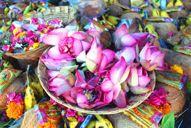 ãindia flowersãã®ç»åæ¤ç´¢çµæ