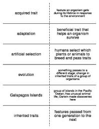 Evolution Vocabulary Flash Cards For Middle School Science Vocabulary Flash Cards Flashcards Middle School Science