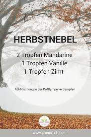 naturlich leben mit atherischen olen aroma 1x1 aromatherapie naturliches leben aromatherapie ole