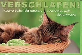 Bildergebnis Fur Nachtraglich Geburtstagswunsche Nachtragliche Geburtstagswunsche Verspatete Geburtstagswunsche Geburtstagswunsche