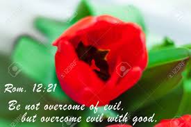 Think about your target audience. Bible Quotes On Blooming Red Tulip Flower Background Card With Text Sign For Believers Inspirational Verse Thoughts Christian Verse Text For Praying Stock Photo Picture And Royalty Free Image Image 154791858