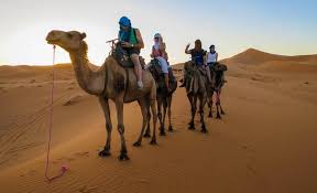 Home adventure tours north africa / middle east morocco moroccan desert adventure: Riding Camels Across The Morocco Desert