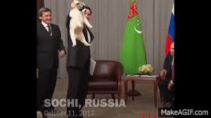 #putin #putin gif #barack obama #obama gif #lol #funny gifs #putin vs obama. Putin Dog Lover On Make A Gif