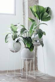 Orbed Concrete Planters Plant Stand Indoor Garden Rack Diy Plant Stand
