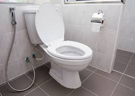 We did not find results for: The Case Against Always Leaving The Toilet Seat Down Vox