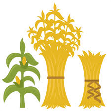 Maybe you would like to learn more about one of these? Corn Stalks Svg Cutting Files For Scrapbooking Fall Svg Cut Files For Cricut Cute Cut Files Free Svg Cuts