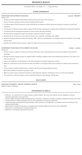 How to write a car salesman resume. Franchise Development Manager Resume Sample Mintresume