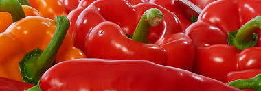 Paprika is a spice made from dried and ground red peppers. Unser Paprika Vitaminbomben Aus Dem Nurnberger Knoblauchsland