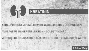 Ein familienmitglied von mir hat gestofft, wusste es nicht und hängt nun an der dialyse, braucht eine nierenspende. Doktorweigl Erklart Kreatinin Was Sagen Erhohte Oder Erniedrigte Kreatininwerte Uber Die Nierenfunktion Aus