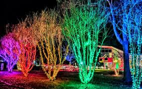 مع الكهرباء سيكون هناك نور في حياة اولادي. Holiday Light Displays Visitmaryland Org