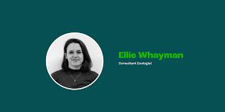 Welcoming Ellie Whayman: Our New Ecological Consultant!