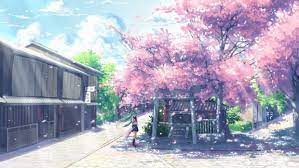 Sakura Blossoms And Maple Leaves I Drink And Watch Anime Anime Wallpaper 1920x1080 Anime Backgrounds Wallpapers Anime Cherry Blossom