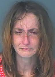 Media Release Brooksville Woman Charged with Trafficking in Fentanyl and  Methamphetamine Following Traffic Stop