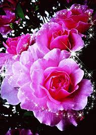Check out amazing flowergif artwork on deviantart. Google Beautiful Rose Flowers Flowers Gif Flowers