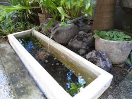Kolam ikan minimalis model raised alias naik di permukaan yang tesambung dengan kolam ikan sekitarnya adalah salah satu tren terbaru yang sangat mencuri perhatian. 20 Model Kolam Ikan Minimalis Ini Jadikan Rumah Lebih Asri Sejasa Com