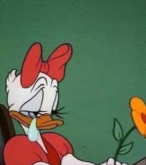 Cartoon Daisy Images On Favim Com Donald duck cartoon compilation hd 2 hours chip and dale donald duck cartoon playlist full episodes. cartoon daisy images on favim com