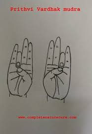 Prithvi Mudra Benefits How To Do Duration And Precautions Mudras Hand Mudras Yoga Hands