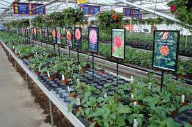 Sign Stand A5 A4 A3 Fixed Height Models Plants Vegetable Garden Design Garden Nursery
