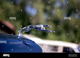 Image result for Old Chester Gray 1930 Lincoln