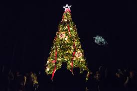 Image result for imagesChristmas, Hope No Matter How Dark the Darkness