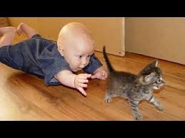Babies Annoying Cats Funny Baby Cat Compilation Positive Life Magazine Funny Baby Pictures Funny Babies Funny Kids