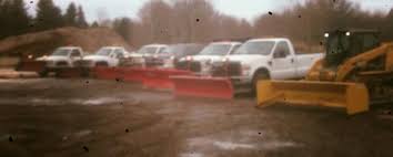 Grass roots experience in lake, porter and laporte counties. Michael S Lawn Care Landscaping Valparaiso In