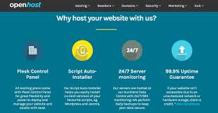 Openhost Co Nz Review 2020 Is It Worth It