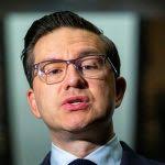 New faces in the OLO: an update