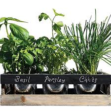 We did not find results for: Indoor Kitchen Herb Garden Grow Your Own Kit With Window Chalk Board Planter 3 Varieties Of Seed Garden Outdoors Plants Seeds Bulbs Umoonproductions Com