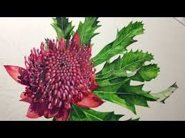 Watercolor Waratah Flower Youtube Waratah Flower Watercolor Watercolor Paintings
