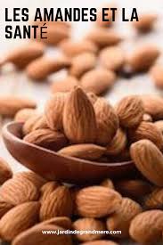 Les Amandes Et La Sante Aliments Bons Pour La Sante Amandes Bienfaits Alimentation