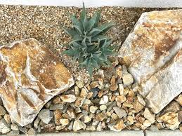 So i decided to incorporate them into this little fairy garden wannabe. How Rocks Enhance Succulent Gardens And Landscapes