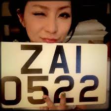 Lin ZaiZai [林仔仔]