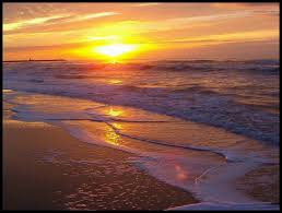 Download this free vector about sunset on a beach background, and discover more than 12 million professional graphic resources on freepik. Free Download Pinterest Labels Flowers Wallpaper Sunset Beach Sunset Beach Wallpaper 1020x770 For Your Desktop Mobile Tablet Explore 68 Sunset Beach Background Ocean Sunset Wallpaper Beach Sunset Hd Wallpaper