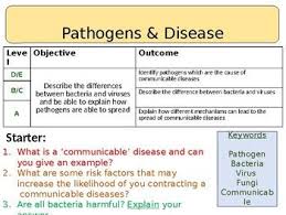 Pathogens Disease Protists Disease Infant Activities