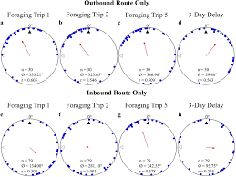 Forager is a 2d open world game inspired by exploration, farming and crafting games such as stardew valley, terraria & zelda. Circular Distributions Of Individual C Velox Forager Headings In The Download Scientific Diagram