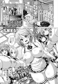 メイド ハーレム えろ