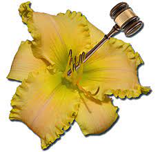 We also provide accounting of all your bought and sold transactions, communications and feedback, making it easy for both buyer and seller to keep track of all sales and conditions. The Lily Auction The Fun Daylily Marketplace