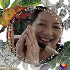 Watercolor Art of Hypericum perryongii from Mindanao