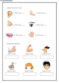 Listening activity for students to increase their skills. Worksheet On Body Parts For Grade 1 Worksheets Kids Body Cute766