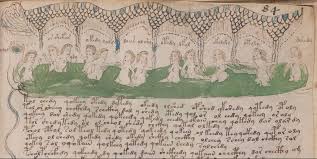 el códice voynich, el manuscrito más extraño del mundo Images?q=tbn:ANd9GcQVcBoPe9NPwC4MCCXtlJ4SMQIYH2DoBsYl4Q&usqp=CAU