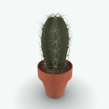 Let's explore how to add a cactus to your inventory. 3d Model Cactus Blackbee3d Revit Families 3d Models And More