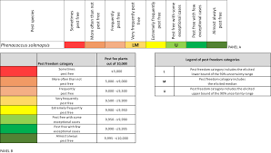 Image result for Sphaeropsis tumefaciens oleander symptoms