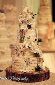 Rustic Birch Tree Wedding Cake Birch Tree Wedding Cake The Cake Zone Florida Wedding Cake Tree Birch Tree Wedding Wedding Cake Inspiration