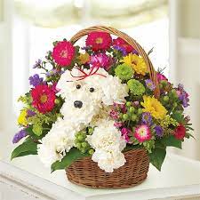 Over a million bouquets delivered worldwide, this year alone. Conroy S Long Beach Local Florist Long Beach Ca