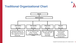 organizational structure of a hospital ppt download