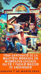 Mariposas Monarca Trip En 2020 Mariposa Monarca 7 De Marzo Monarcas