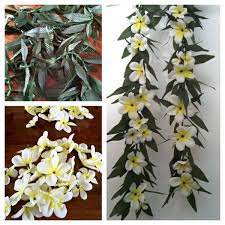 Pin By Ashley Brooks On Things I Ve Done Diy Crafts Graduation Leis Flower Lei Money Lei