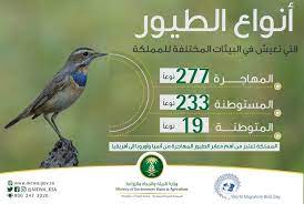 واس العام no twitter وزارة البيئة والمياه والزراعة تعتبر المملكة العربية السعودية من أهم معابر الطيور المهاجرة من آسيا وأوروبا إلى أفريقيا تعرف على أنواع الطيور التي تعيش في البيئات المختلفة للمملكة اليوم العالمي للطيور المهاجرة واس عام https